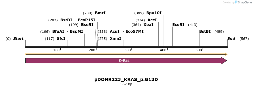 157534_map