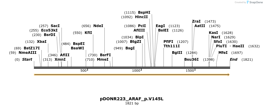 157537_map