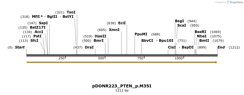 157544_map