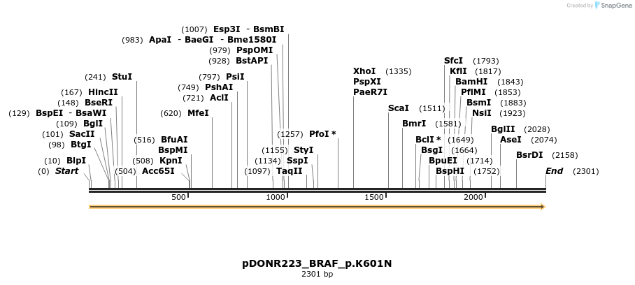 157546_map