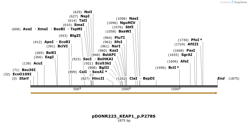 157558_map