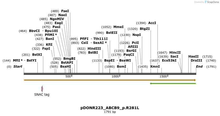 157566_map