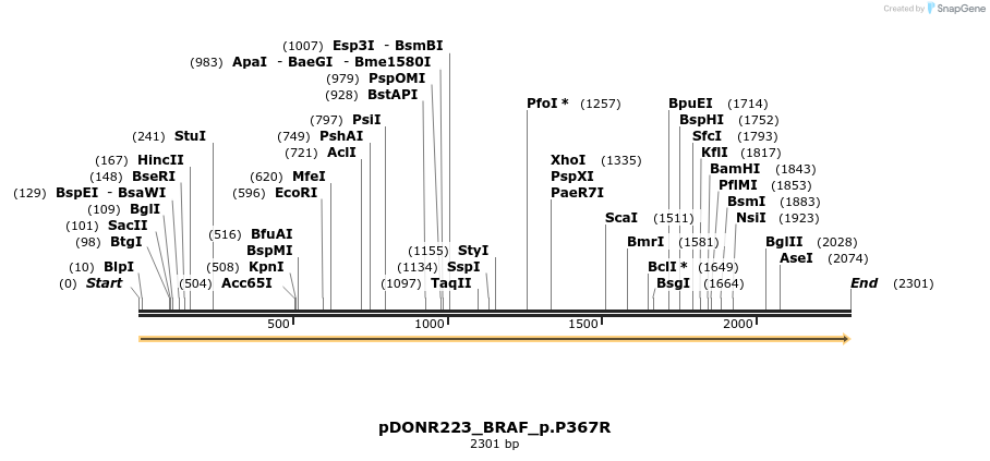 157577_map