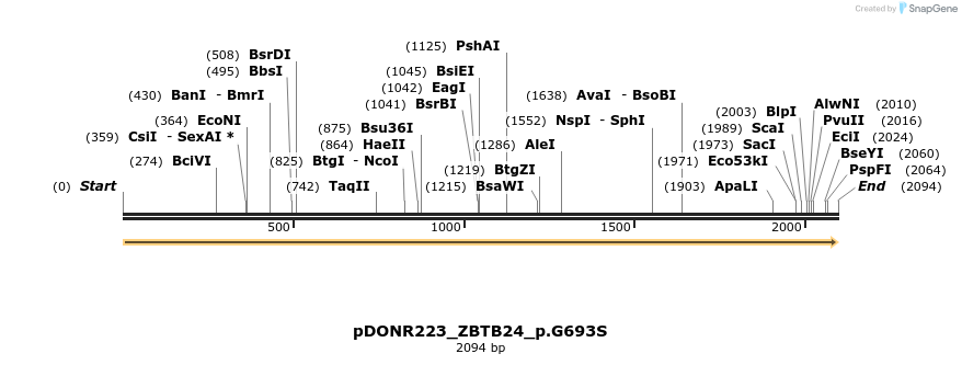 157594_map