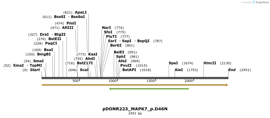 157595_map