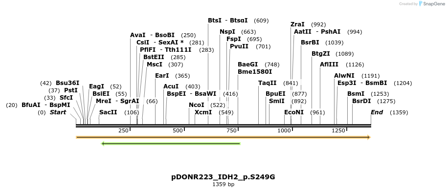 157597_map