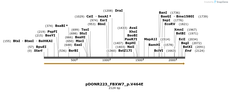 157604_map