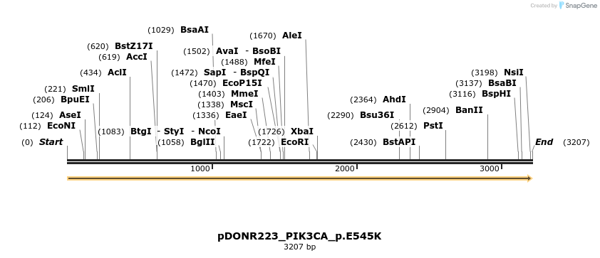 157607_map