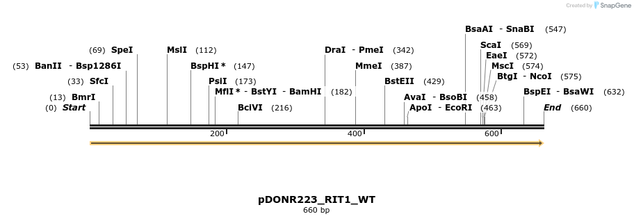 157608_map
