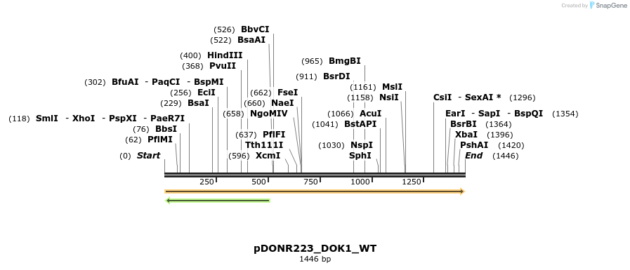 157610_map
