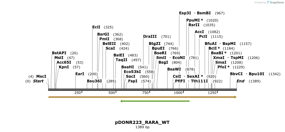 157612_map