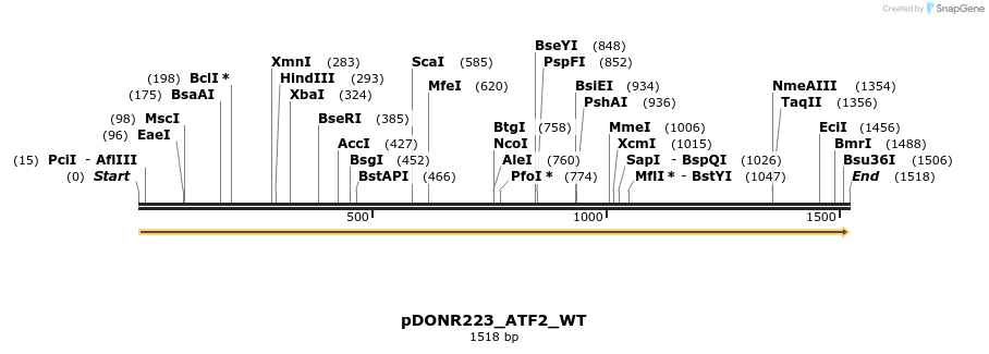157615_map