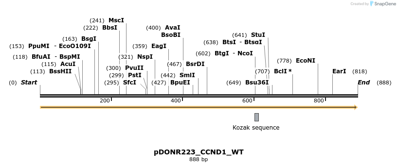 157617_map