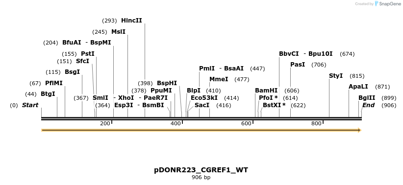 157621_map