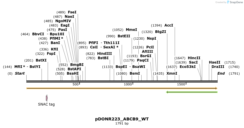 157625_map