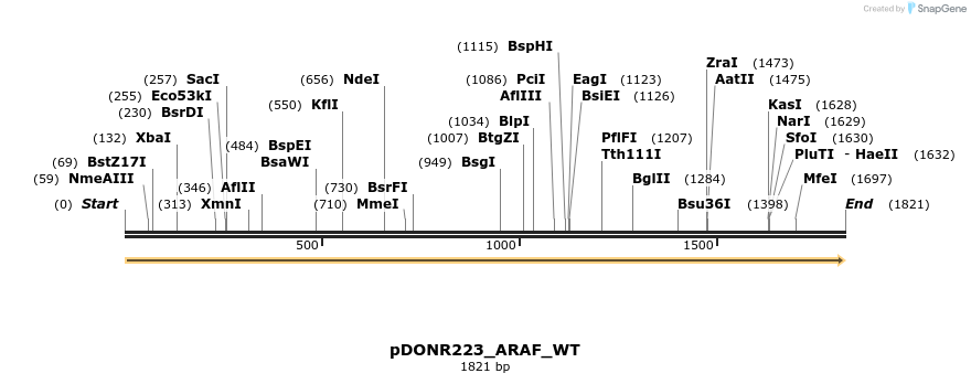157626_map