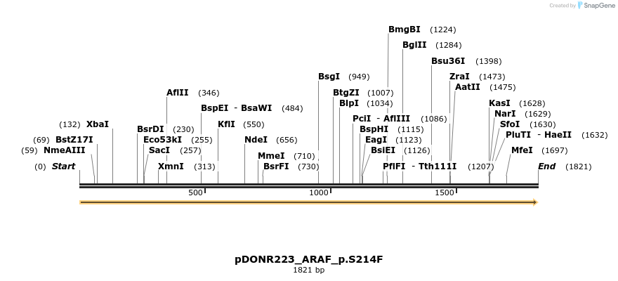157627_map
