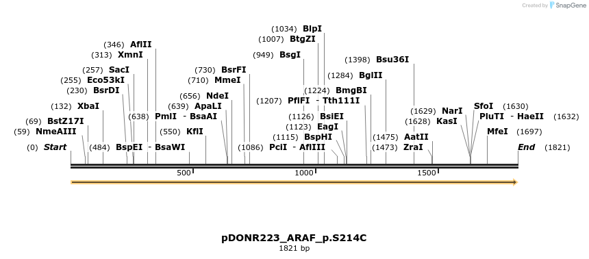 157633_map