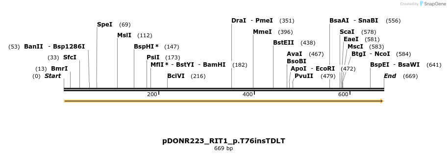 157642_map