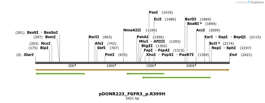 157647_map