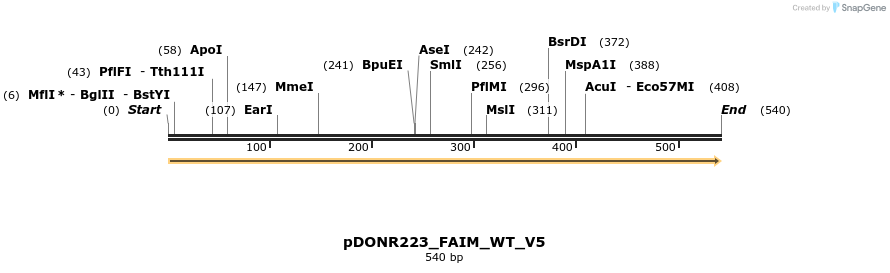 157656_map
