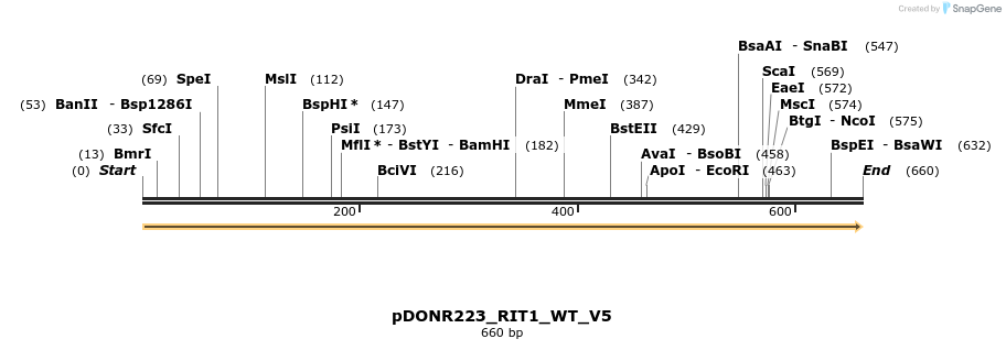 157666_map