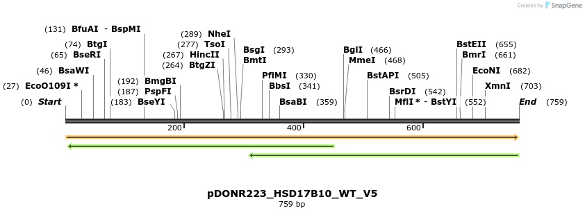 157667_map