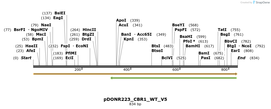 157671_map