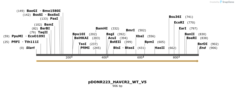 157691_map