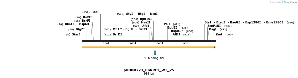 157697_map