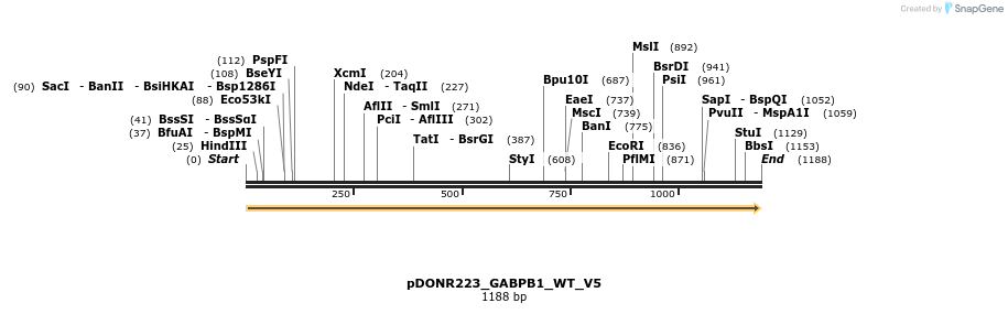 157698_map