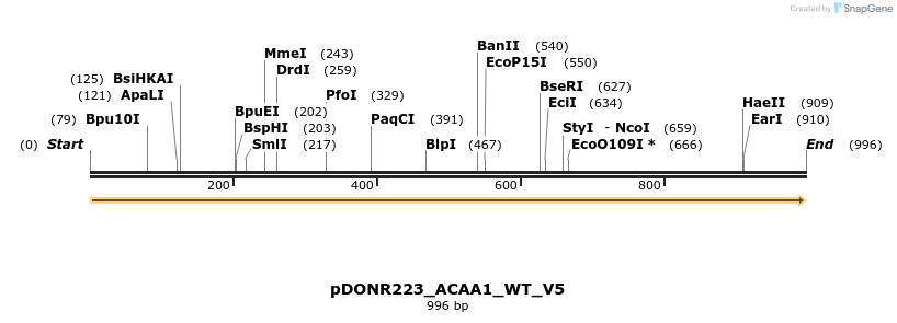 157704_map