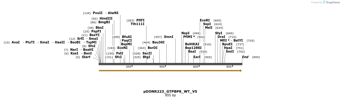 157705_map