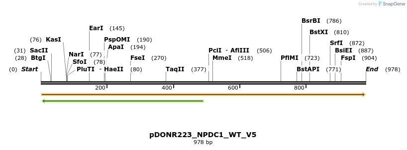 157706_map