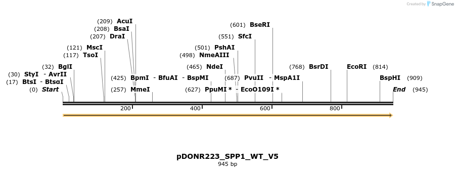 157707_map