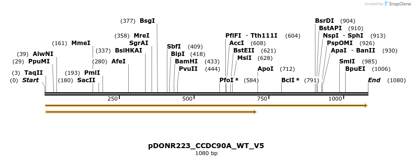157718_map