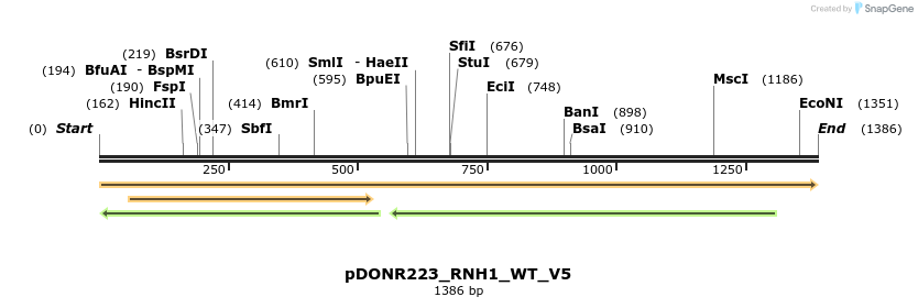 157721_map