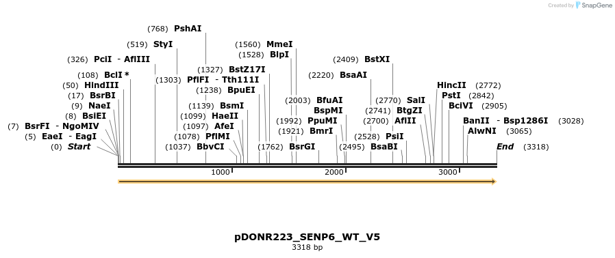 157734_map