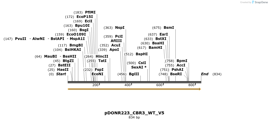 157741_map