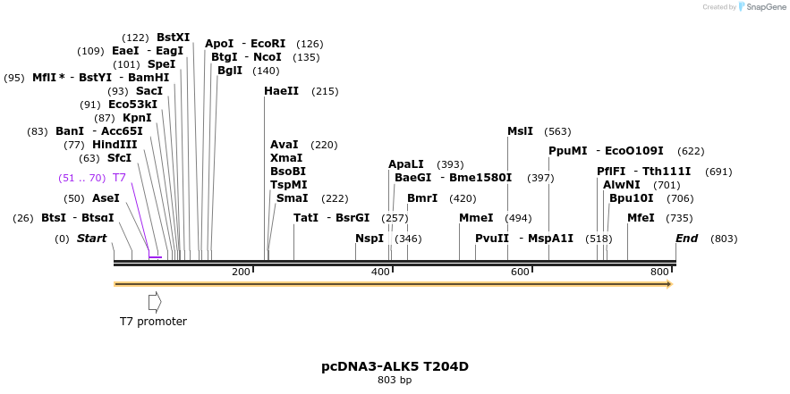 157745_map