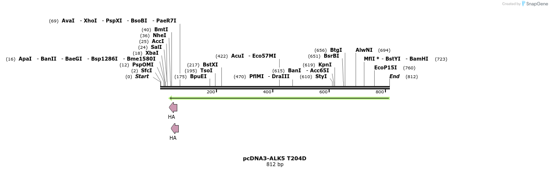157746_map