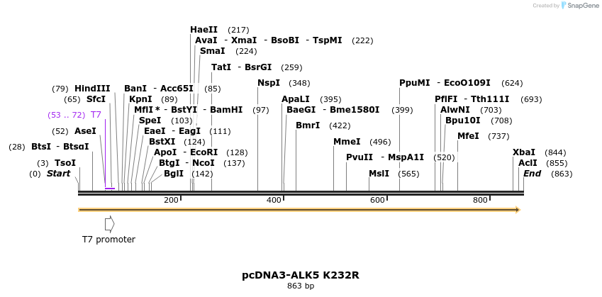 157747_map