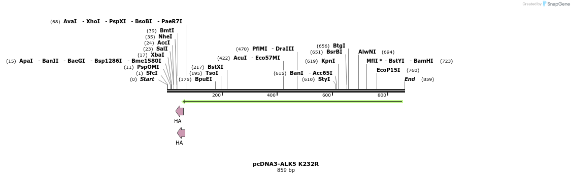 157748_map