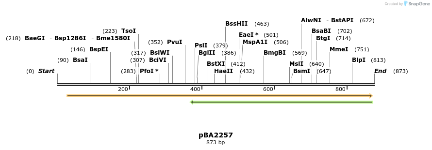 157756_map