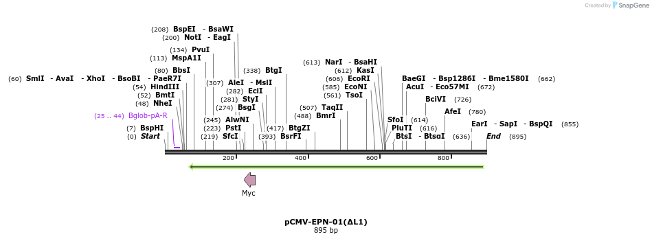 157767_map