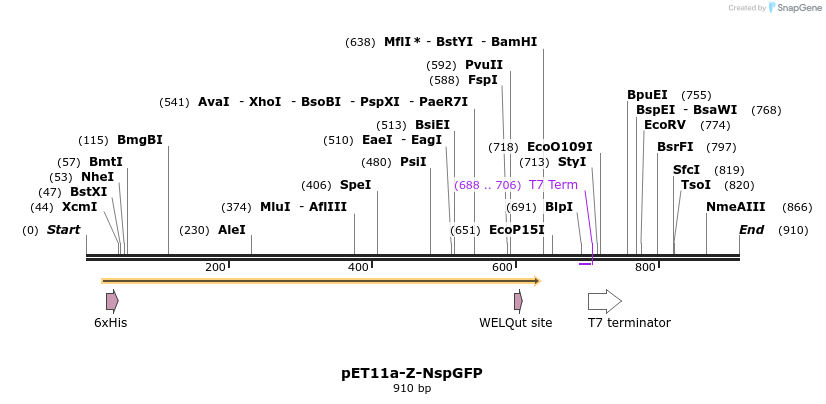 157771_map