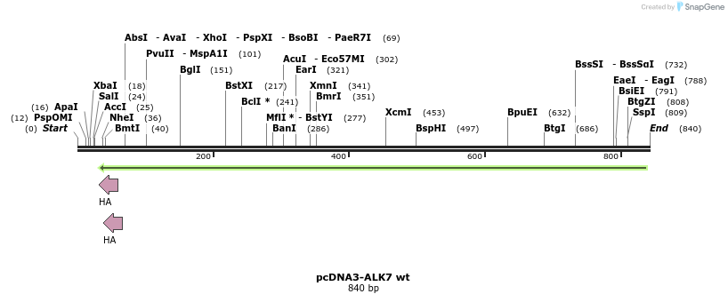 157780_map