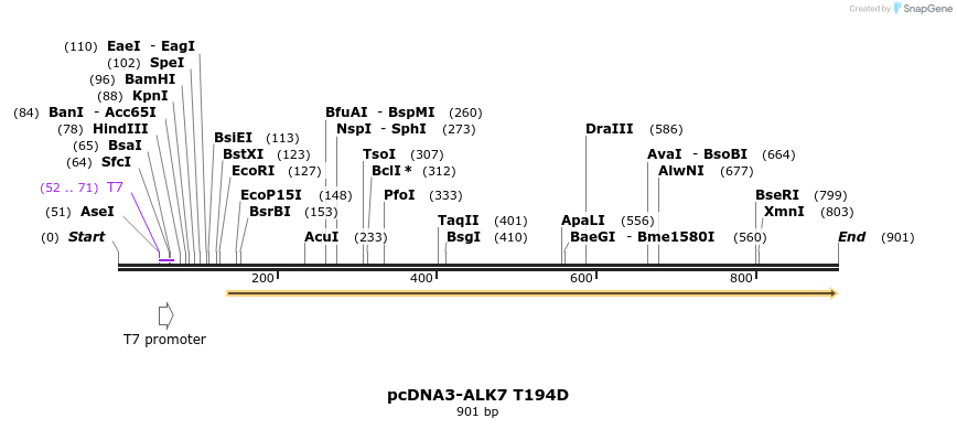 157789_map