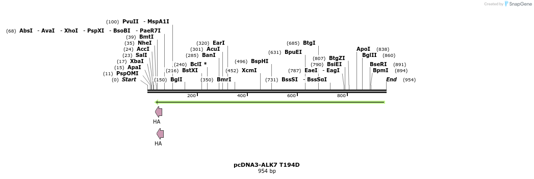 157793_map