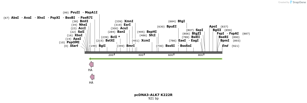 157801_map